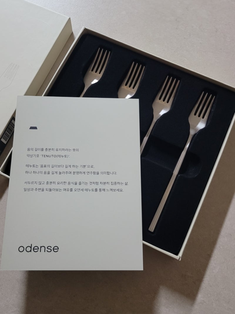 깔끔한 스테인리스 커트러리, 오덴세 테누토 티포크세트