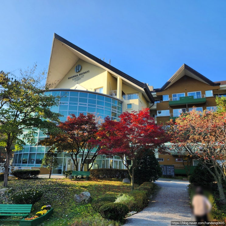  [포천/산정호수] 한화리조트 산정호수 안시 - 수도권 가족 여행으로 딱 좋은 리조트 시설 후기(무료 온천 사우나 정보)