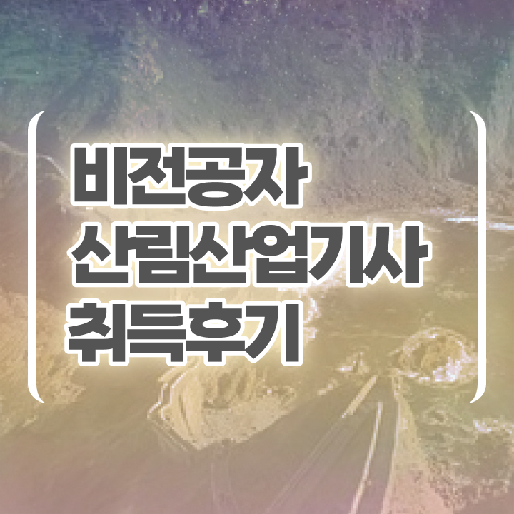  산림산업기사 합격 산림산업기사 응시자격 인강만 듣고 단기간에 준비한 전략