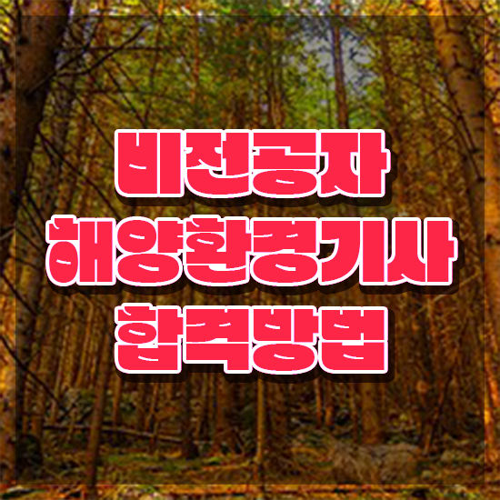  해양환경기사기출문제 해양환경기사 시험응시자격 집에서 온라인으로 간편하게 끝낸 과정