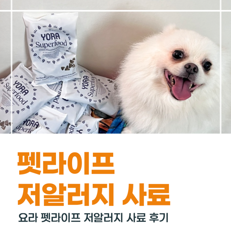  저알러지 강아지사료 펫라이프 하이포알러제닉 강아지 간식 추천 후기