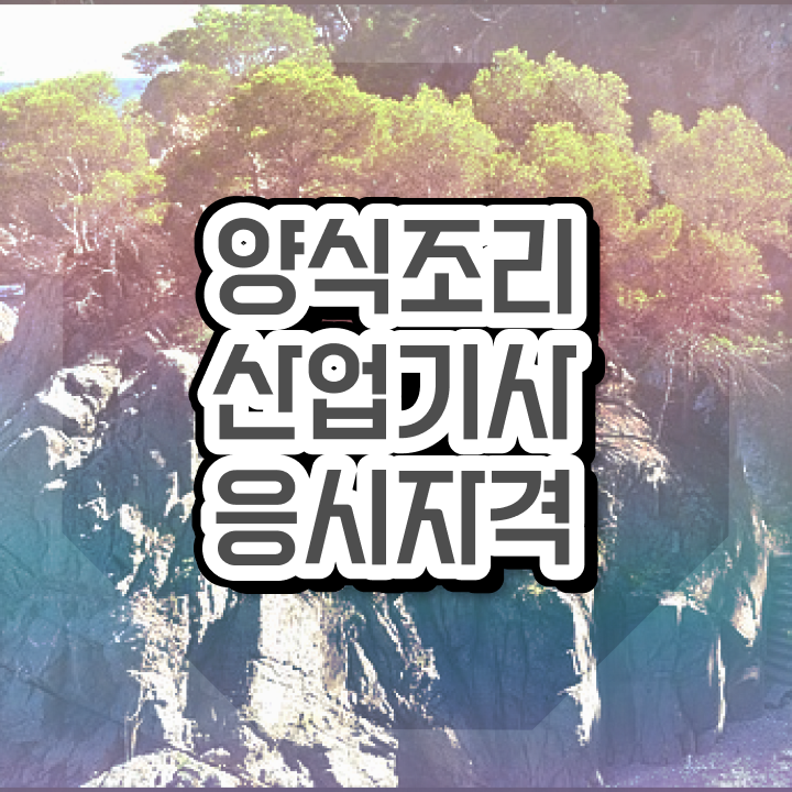  양식조리산업기사 응시조건 집에서 온라인으로 빠르게 끝낸 후기