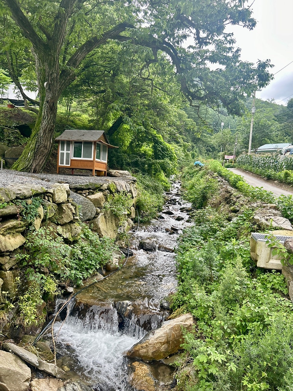 영월산울림산장펜션 사진 3