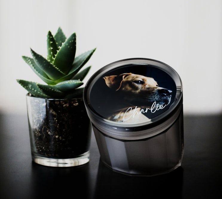  Remis(Memorial Urn for Pets) 반려동물 분골함 제품디자인