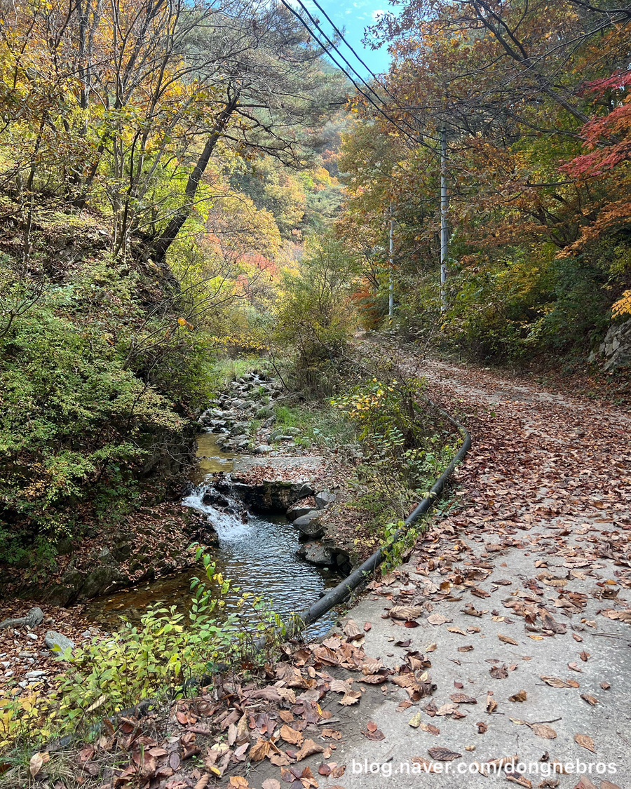 수산하늘풍경 사진 5