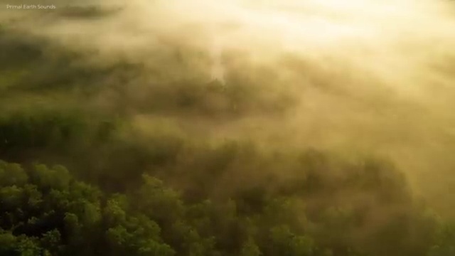  아산 사회복지과사이버대학 . 사회복지사2급 경력없어도 온라인으로 수월하게
