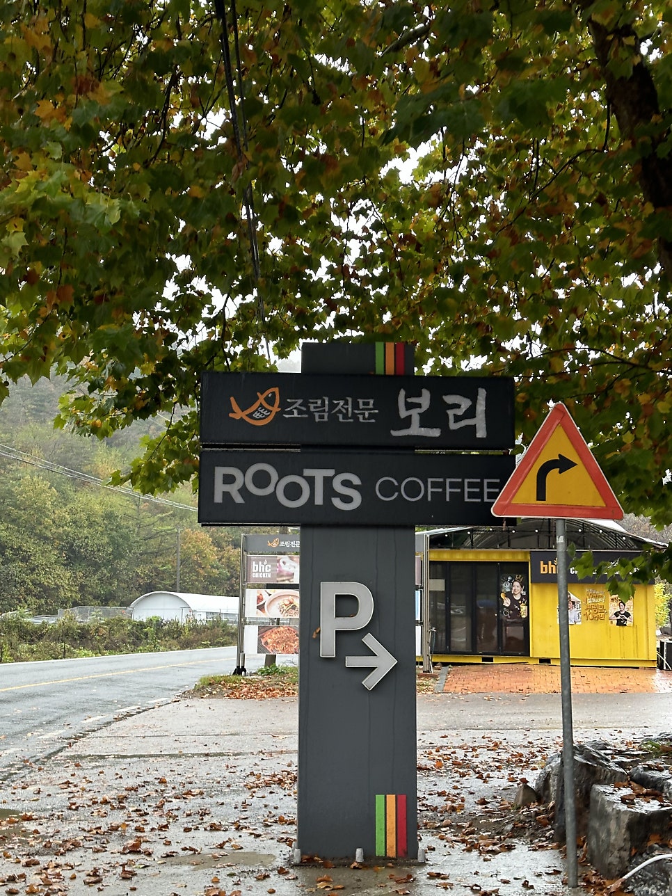 비룡농원 사진 4