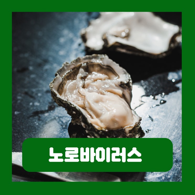  겨울철 식중독 "노로바이러스" 어떻게 피할 수 있을까?