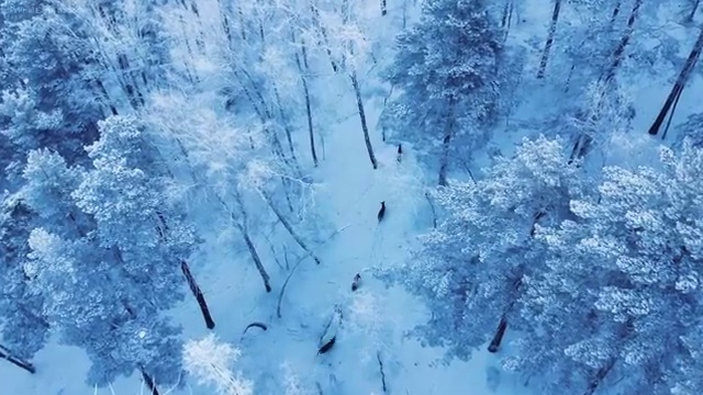  심리상담센터비용 , 심리상담사 자격증 취득했던 후기 확인