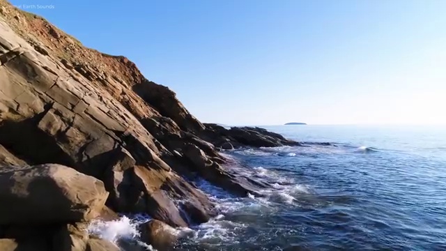  안양 사회복지 공무원시험준비 사회복지사2급 조건이 안돼도 학은제 활용하여 수월하게