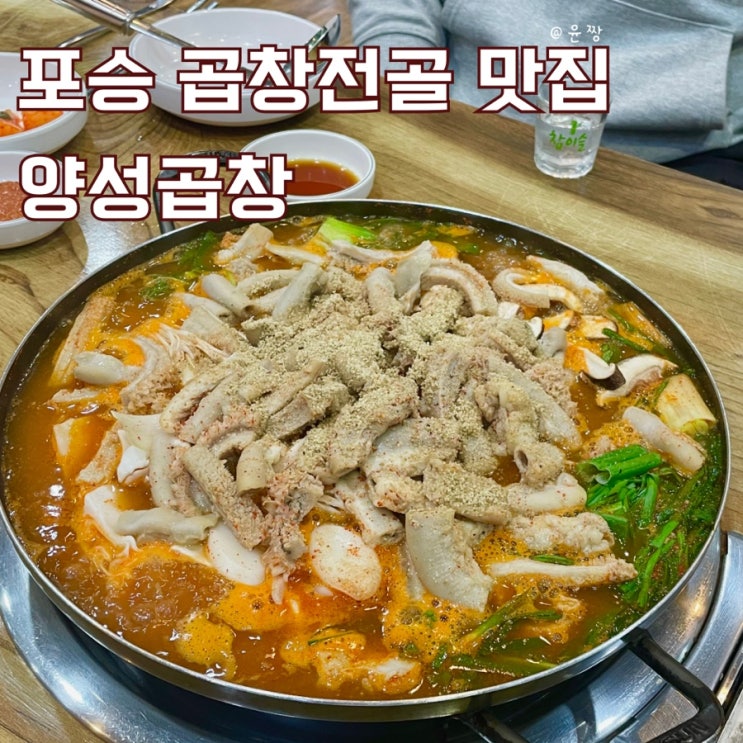  평택 포승 맛집 푸짐한 건더기에 칼칼한 곱창전골이 맛있는 양성곱창