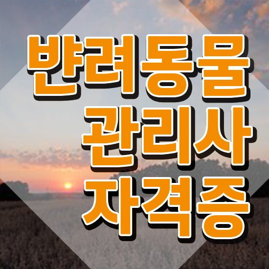  반려동물 생활관리사 , 반려동물관리사 자격증 합격한 비법 확인해봅시다