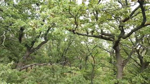  피부관리사 하는일 , 피부미용교육지도사 자격증 1달 만에 합격한 팁 및 온라인 무료강의