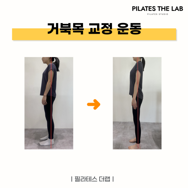  목동 필라테스 거북목 교정 운동 후기