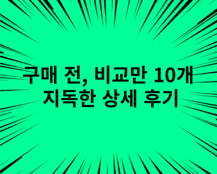  10개 조사해보고 산 전방향발보온기, 독한 후기
