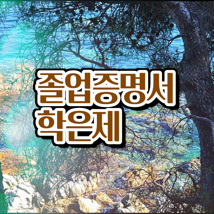  학점은행제 70학점 학점은행제 플래너 이 항목만 꼼꼼하게 확인하세요