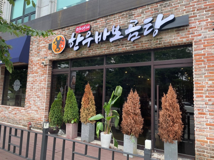  대전 만년동 한우 맛집 추천 대전 한우 맛집 만년애한우바보곰탕