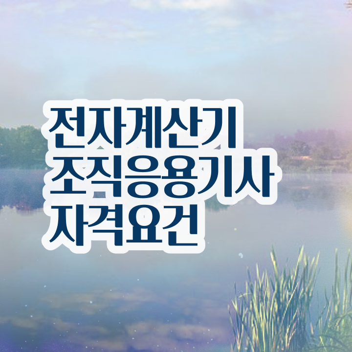  전자계산기조직응용기사 응시자격 독학으로 편하게 성공한 노하우
