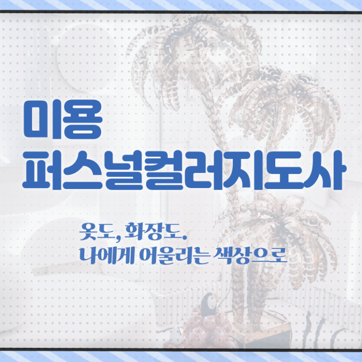  미용퍼스널컬러 , 미용퍼스널컬러지도사 자격증 취득한 방법 핵심 정보