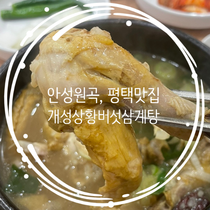  안성원곡, 평택근교맛집 개성상황버섯 삼계탕으로 겨울철 대비 몸보신