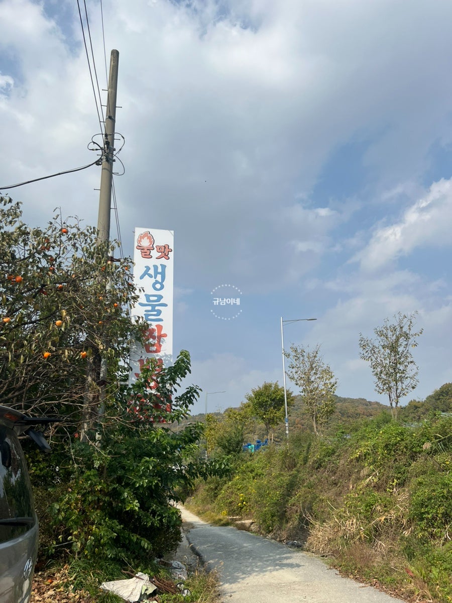 백리향 사진 1