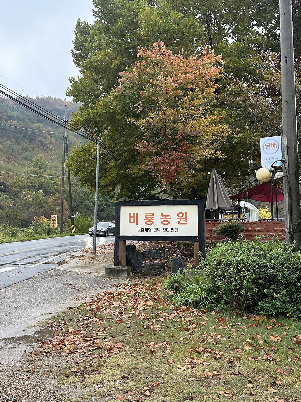 비룡농원 사진 3