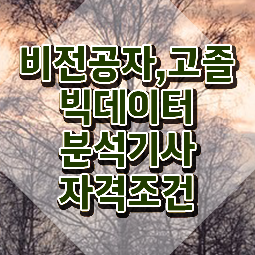  빅데이터분석기사 복원 , 빅데이터분석기사 응시자격 인강으로 간단하게 준비한 비법