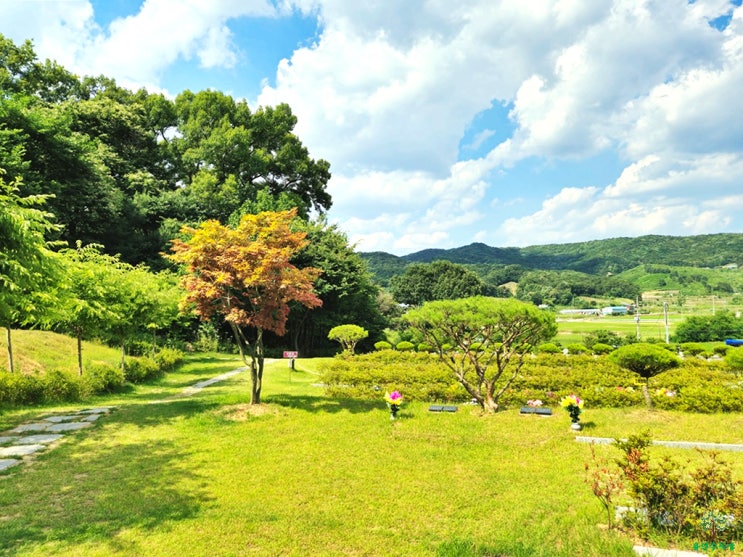  용인수목장 비용 부담감 낮은 장점