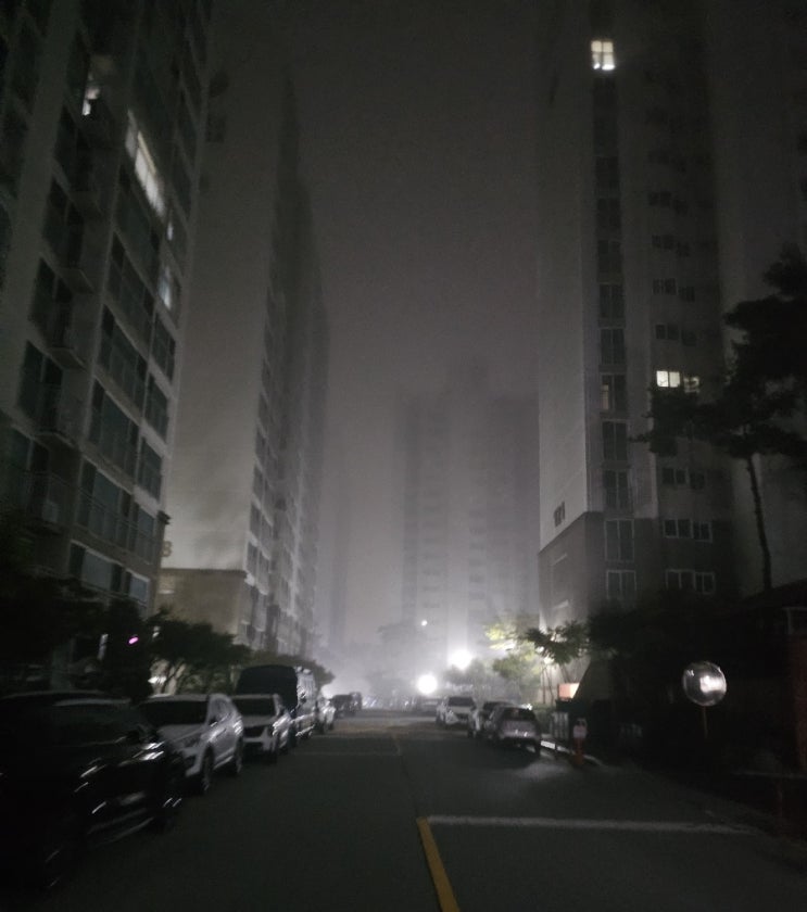  가을이 너무 짧아요 오늘 입동