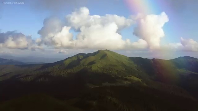  학점은행제 자격증 학점 , 학점은행제 학사학위 온라인 수업만으로 쉽고 빠르게 성공한 팁