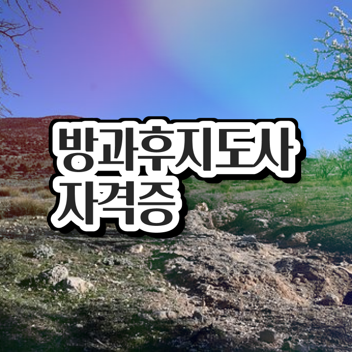  , 방과후지도사 합격 후기 및 채용전망