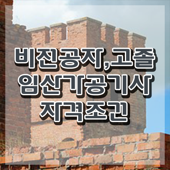  임산가공기사 시험응시조건 집에서 온라인으로 쉽고 빠르게 성공한 전략
