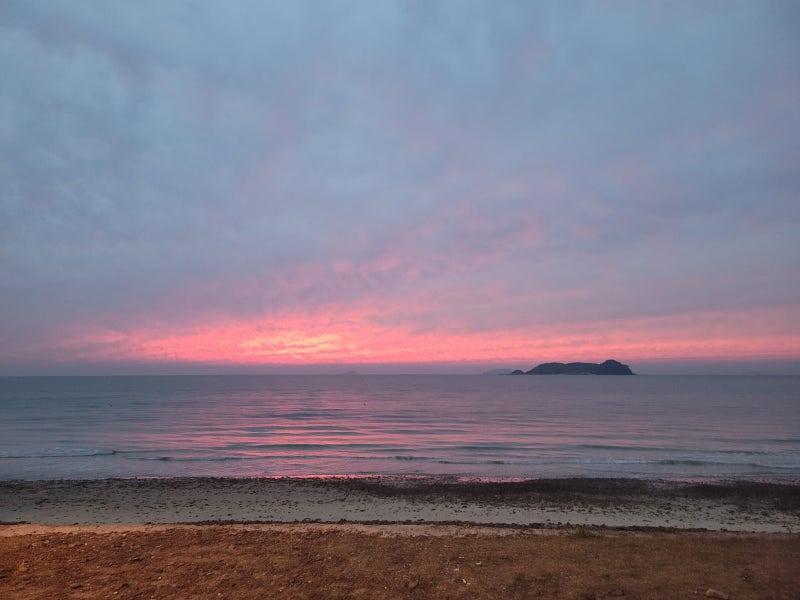 사진 10