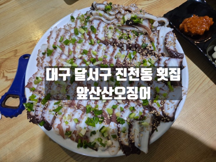 노포 느낌의 대구 달서구 횟집 진천동 술집 앞산산오징어 노포 느낌의 대구 달서구 횟집 진천동 술집 앞산산오징어