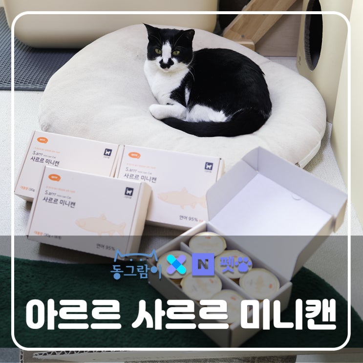  네이버펫 기호성 좋은 고양이간식 아르르 사르르 미니캔 연어 원쁠원 할인이벤트