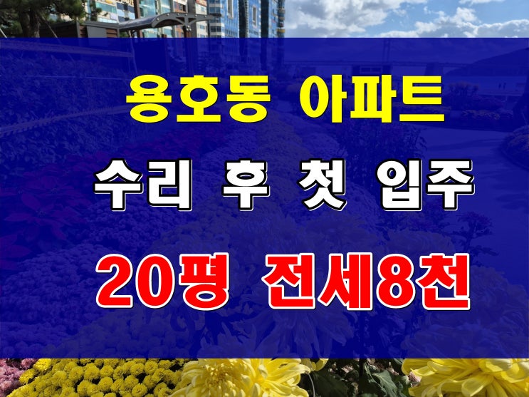  용호동 아파트 전세 한진훼미리 8천만원 깔끔하게 수리된 집