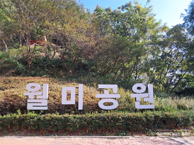 사진 4