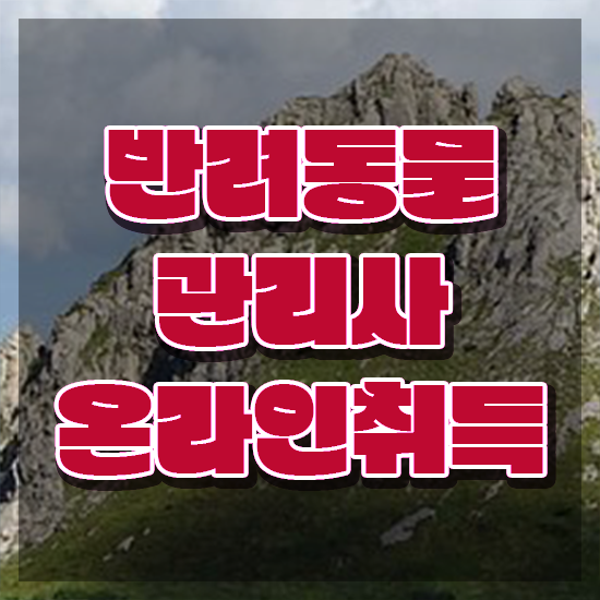  반려동물관리사 취업 , 반려동물관리사 자격증 온라인으로 취득했던 후기 최신정보 공유