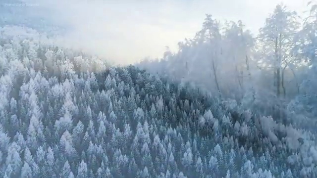  청소년상담사 자격증 , 심리상담사 자격증 취득한 방법 핵심 정보 정리