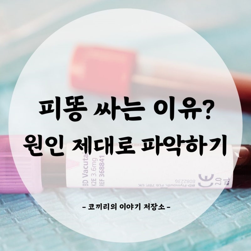 피똥 싸는 이유? 원인 제대로 파악하기 : 네이버 블로그