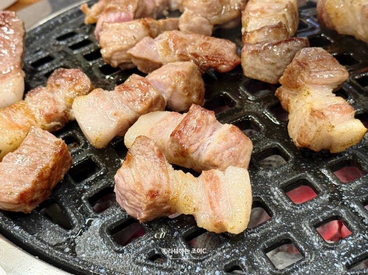  대전 지족동 모임하기 좋은 고기맛집 돌담제주돈