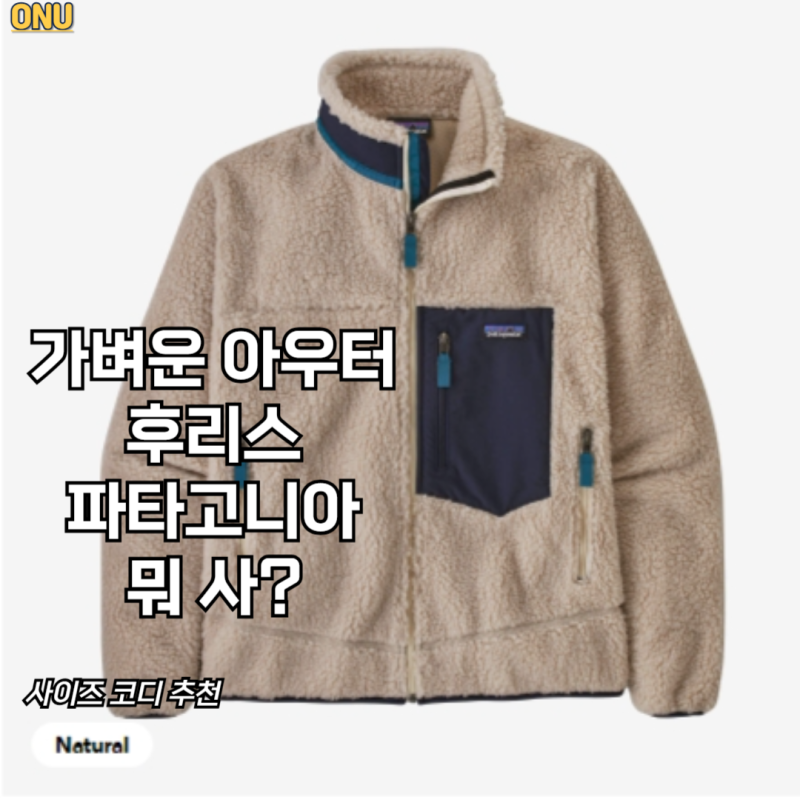 파타고니아 후리스 자켓 레트로 사이즈 코디 정리