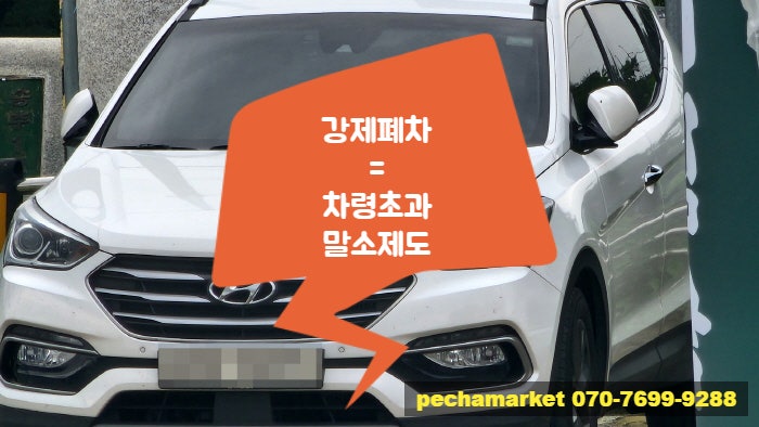  강제폐차 = 차령초과말소제도