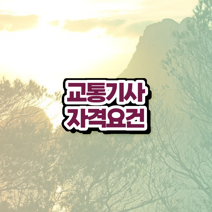  교통기사 자격조건 교통기사 시험응시조건 학점은행제로 간편하게 완료한 노하우