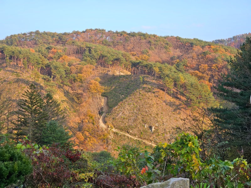 사진 15