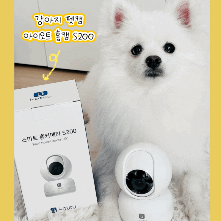 안전하게 사용 가능한 강아지 펫캠 아이오트 홈카메라 S200 안전하게 사용 가능한 강아지 펫캠 아이오트 홈카메라 S200