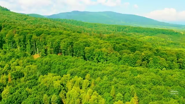  영화심리상담사 시험 , 영화심리상담사 자격증 준비한 과정 요점정리