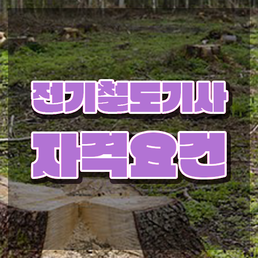  전기철도기사 응시조건 온라인 과정으로 간단하게 완료한 전략