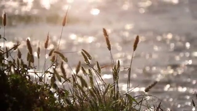  서울시 사회복지 공무원 , 사회복지사2급 중년 직장인도 학은제로 손쉽게