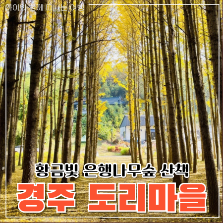 경주 도리마을 은행나무숲 포토존 먹거리